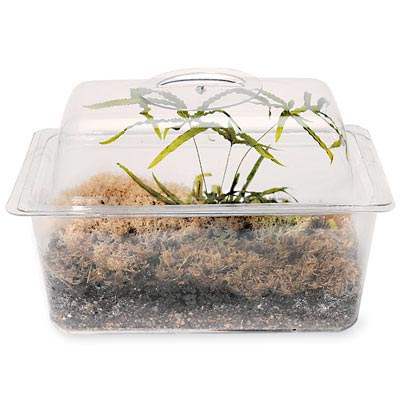 1 1-2 gal. Flex-Tank w- Domed Cover (11" x 7" x 5")