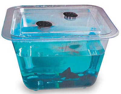 1 gal. Flex-Tank w- Cover (7" x 7" x 5")