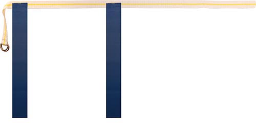 Rip Flag Football Belts - (12 belts, 24 flags) Large - Blue