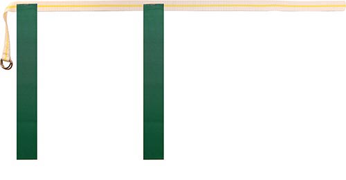 Rip Flag Football Belts - (12 belts, 24 flags) Large - Green