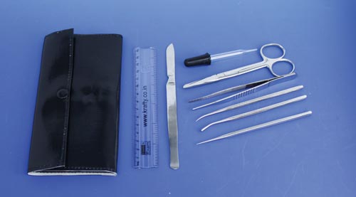 Basic Dissecting Kit #1