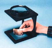 Folding Magnifier