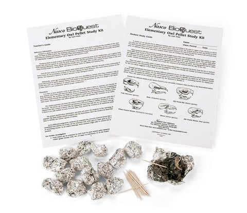 Elementary Owl Pellet Kit