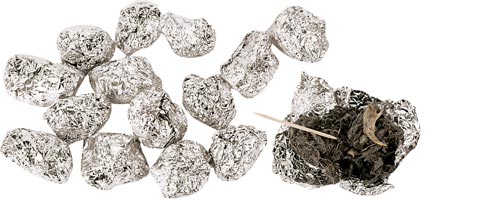 Owl Pellet