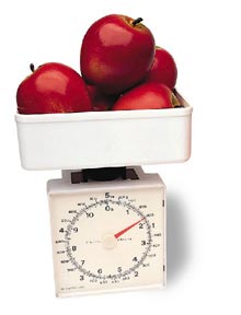 Platform Spring Scale - 5kg - 11 lbs.