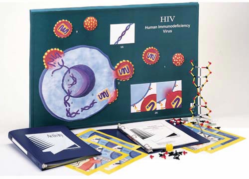 HIV Model Activity Kit