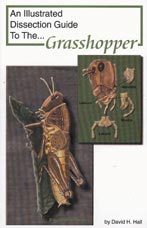 Dissection Guide to the Grasshopper