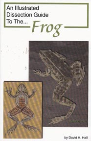 Dissection Guide to the Frog