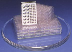 Microplates - Large Wells (Pack of 6)