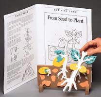 Bookplus Model - From Seed to Plant