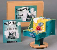 Plant Cell Model