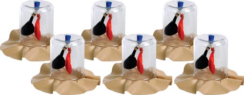 Lung Demonstration Kits - Set of 6