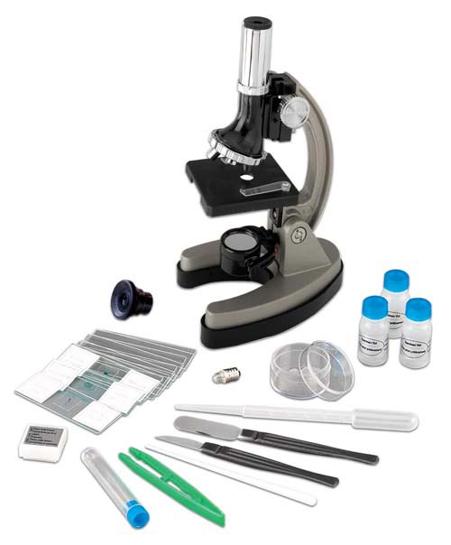 Economy Microscope Set