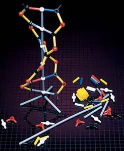 DNA Model - 12 Packets