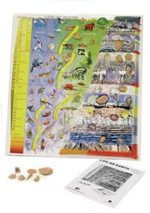 Fossil History Kit