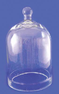 Glass Bell Jar - 8.5"W x 15"H