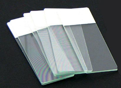 Color Coded Microscope Slides - White