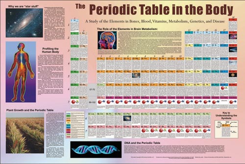 Periodic Table in the Body