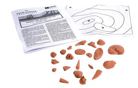 Fossil Laboratory - (Set of 5 Kits)