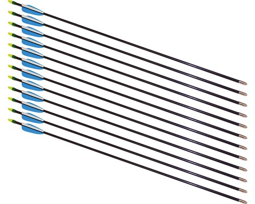 26" Fiberglass Arrows - 12 Arrows