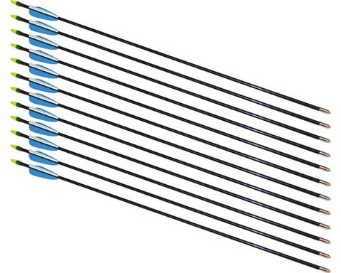 26" Fiberglass Arrows - 12 Arrows