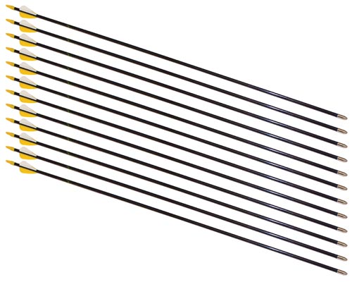 28" Safety Glass Arrows - 12 Arrows