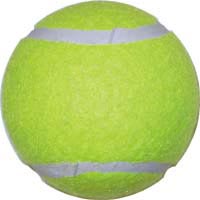 Economy Practice Tennis Ball