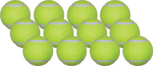 Economy Practice Tennis Balls  - Case of 120