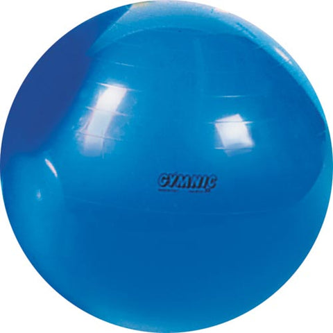 Physio Gymnic Exercise Ball - 95cm-38" Dia. (Blue)