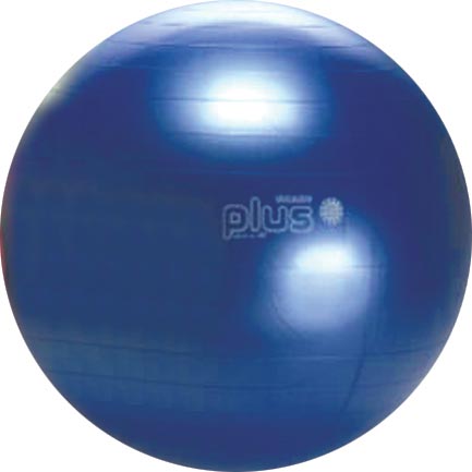 Gymnic Plus Exercise Ball - 65cm-26" Dia. (Blue)