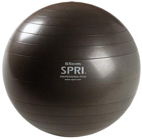 Professional Plus Ball - 55cm