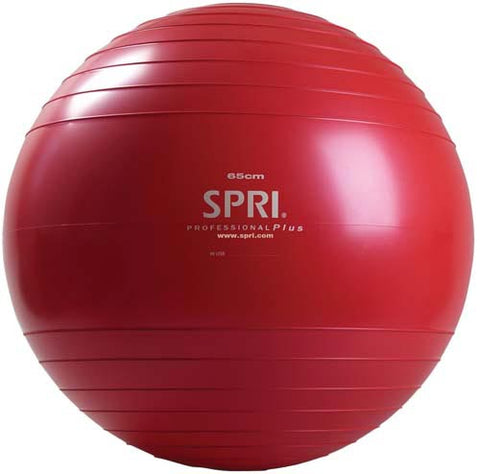 Professional Plus Ball - 65cm