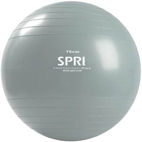 Professional Plus Ball - 75cm