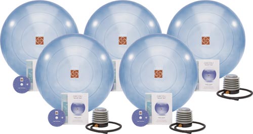 BOSU Ballast Ball PRO - Set of 5