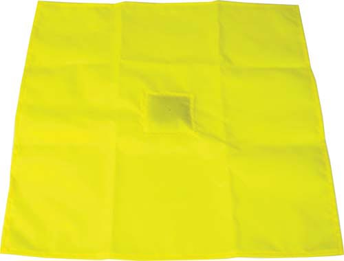 Penalty Flag