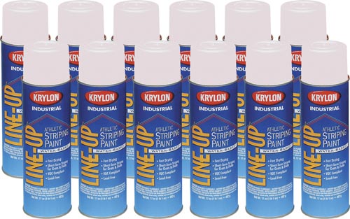 Krylon Athletic Paint - White (Case-12)