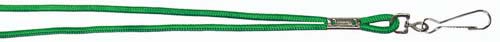 Economy Lanyard - Green