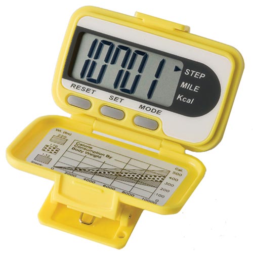 EKHO Worker Bee-Fit Pedometer